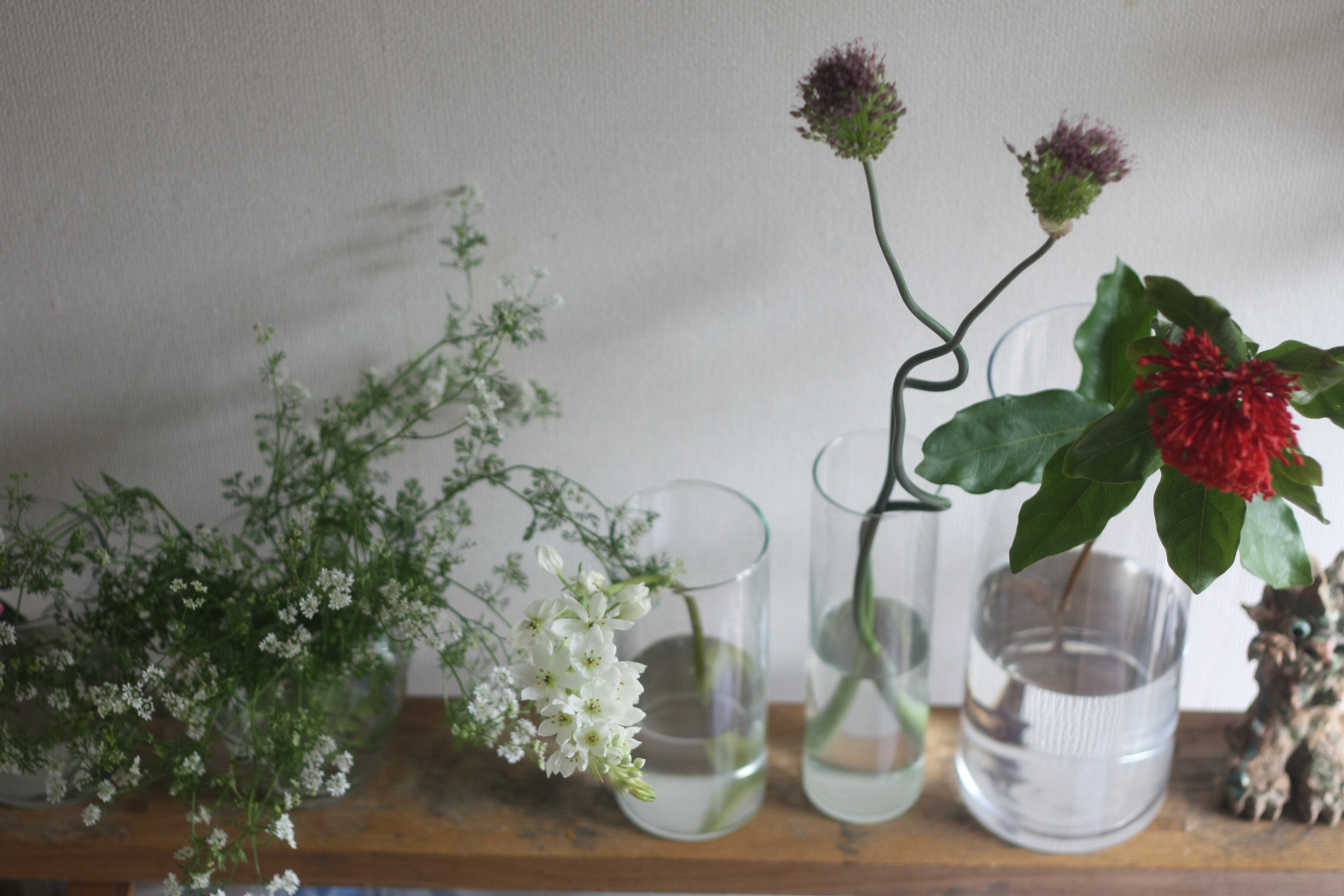 花育 植育を楽しむ花瓶のある暮らし こどもと暮らしのブログ